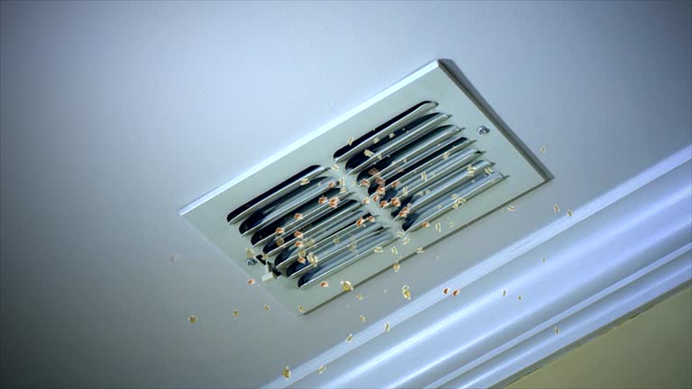Best Dryer Vent Cleaning Services  in Kentfield, CA